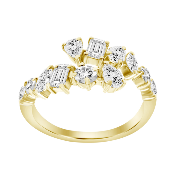 Double Coil Multishape Ring